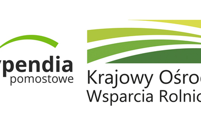 Zdjęcie do Program Stypendi&oacute;w Pomostowych 2022/2023
